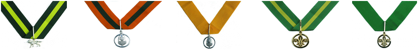 Scout Adult Awards (To Follow)