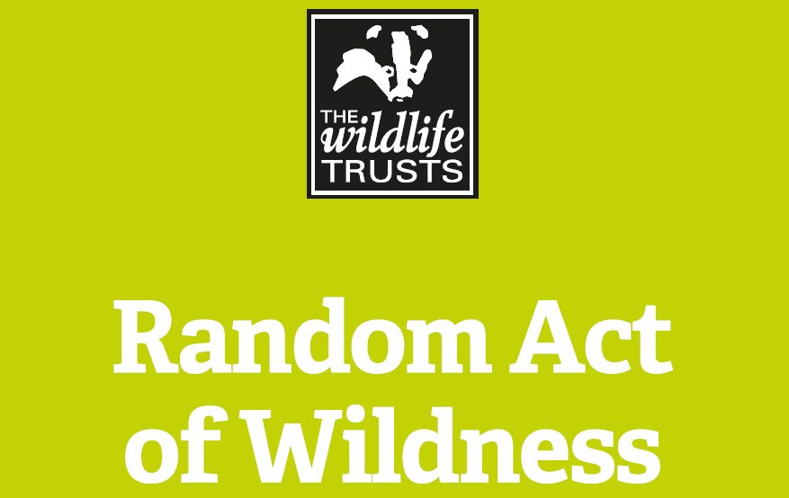 Random Acts of Wildness