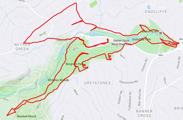 Strava Art