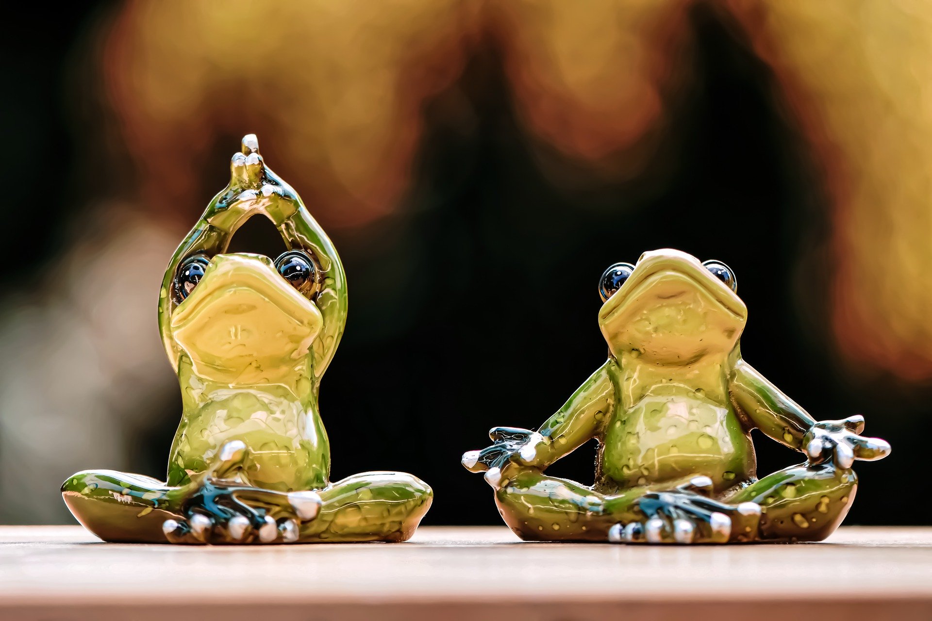 Wildlife Yoga